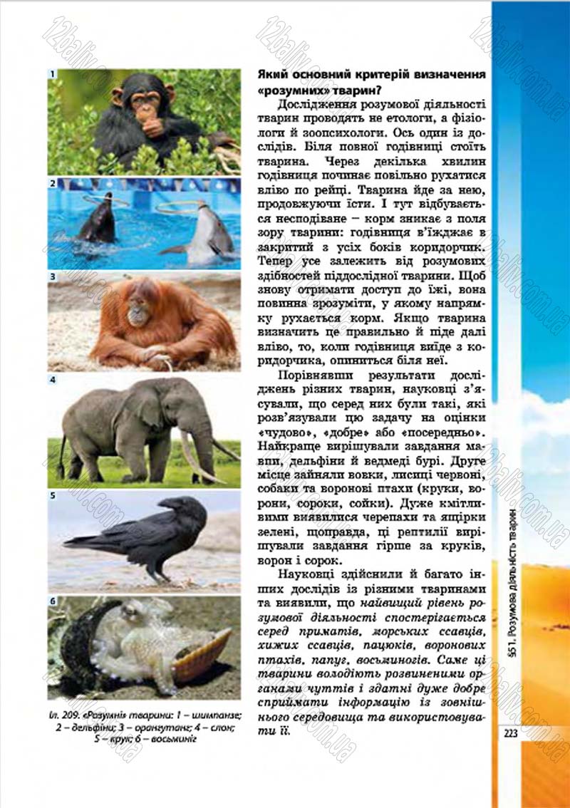 Сторінка 223 - Підручник Біологія 7 клас В.І. Соболь 2015