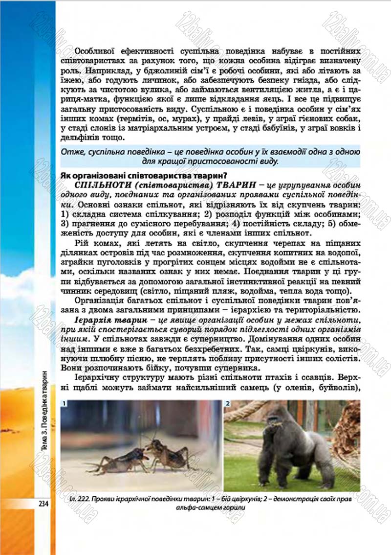 Сторінка 234 - Підручник Біологія 7 клас В.І. Соболь 2015