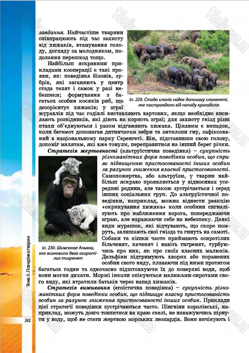 Сторінка 242 - Підручник Біологія 7 клас В.І. Соболь 2015