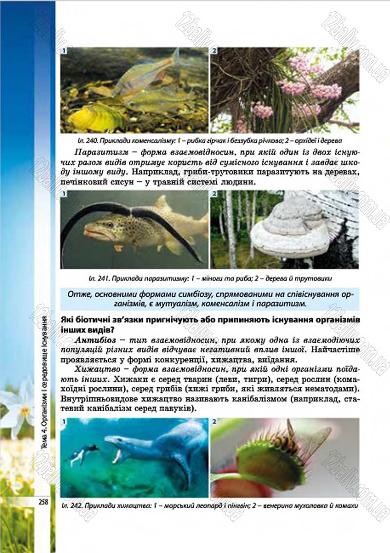 Сторінка 258 - Підручник Біологія 7 клас В.І. Соболь 2015