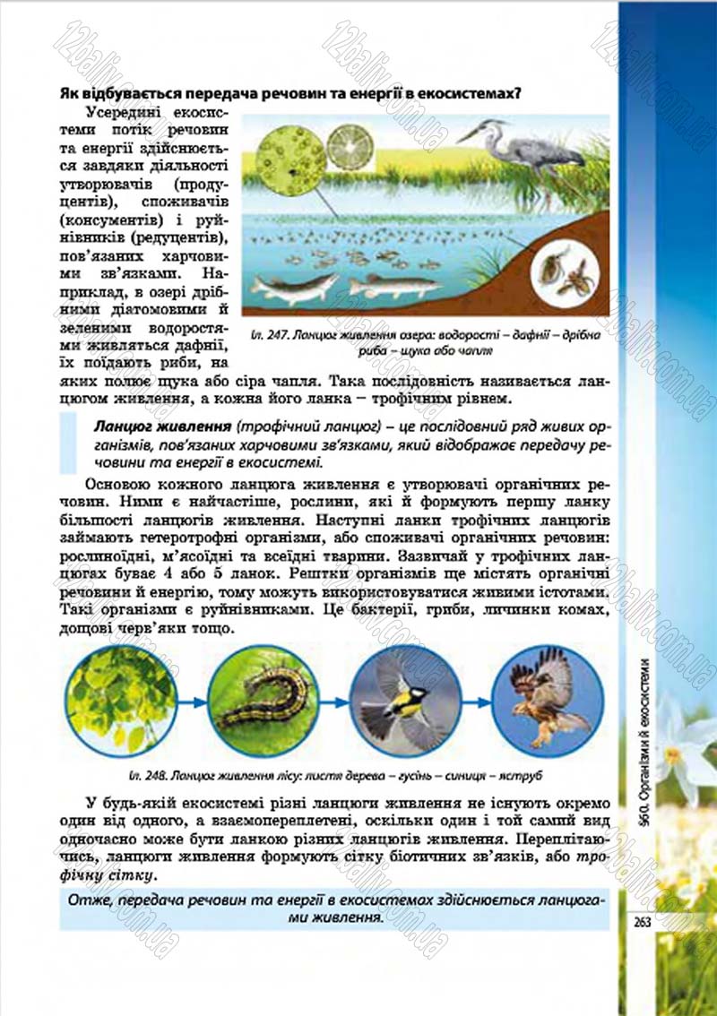 Сторінка 263 - Підручник Біологія 7 клас В.І. Соболь 2015