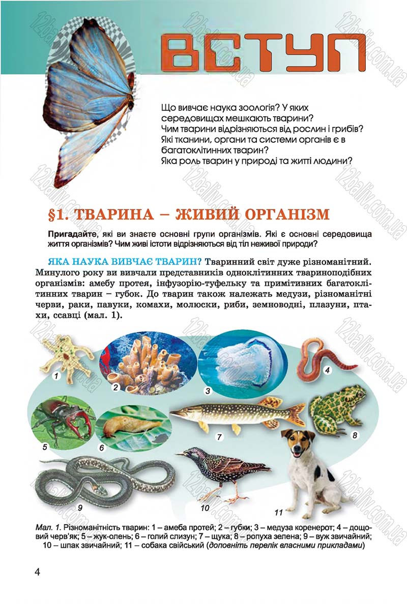 Сторінка 4 - Підручник Біологія 7 клас Остапченко 2015 - скачати онлайн