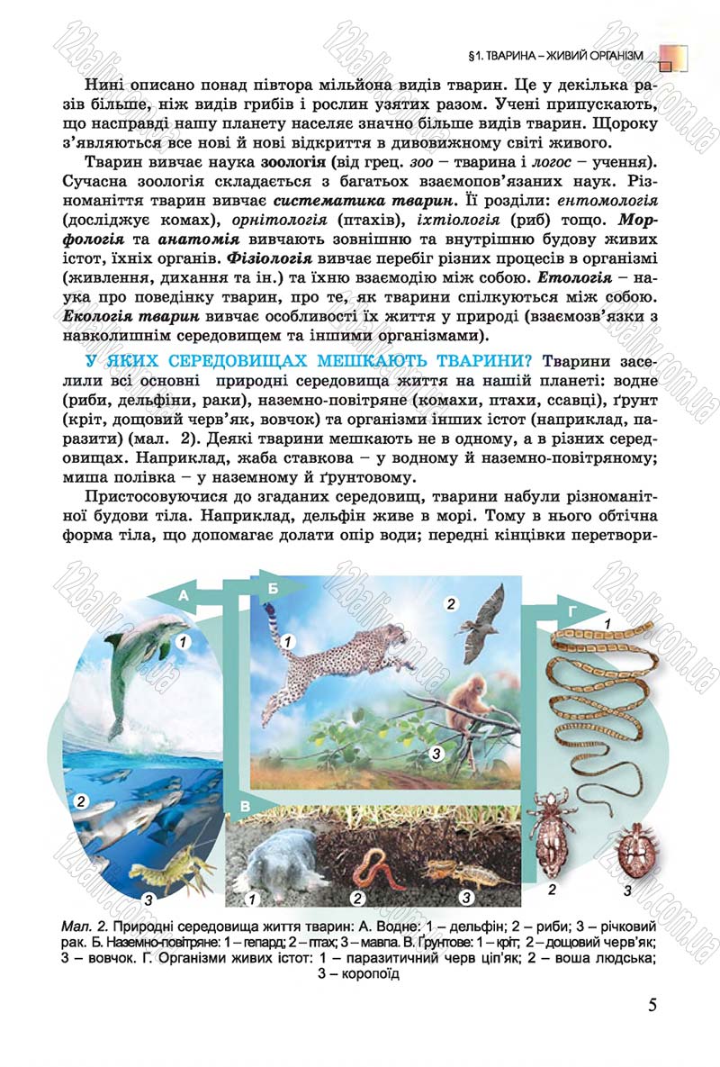 Сторінка 5 - Підручник Біологія 7 клас Остапченко 2015 - скачати онлайн