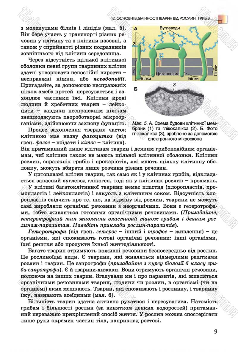 Сторінка 9 - Підручник Біологія 7 клас Остапченко 2015 - скачати онлайн