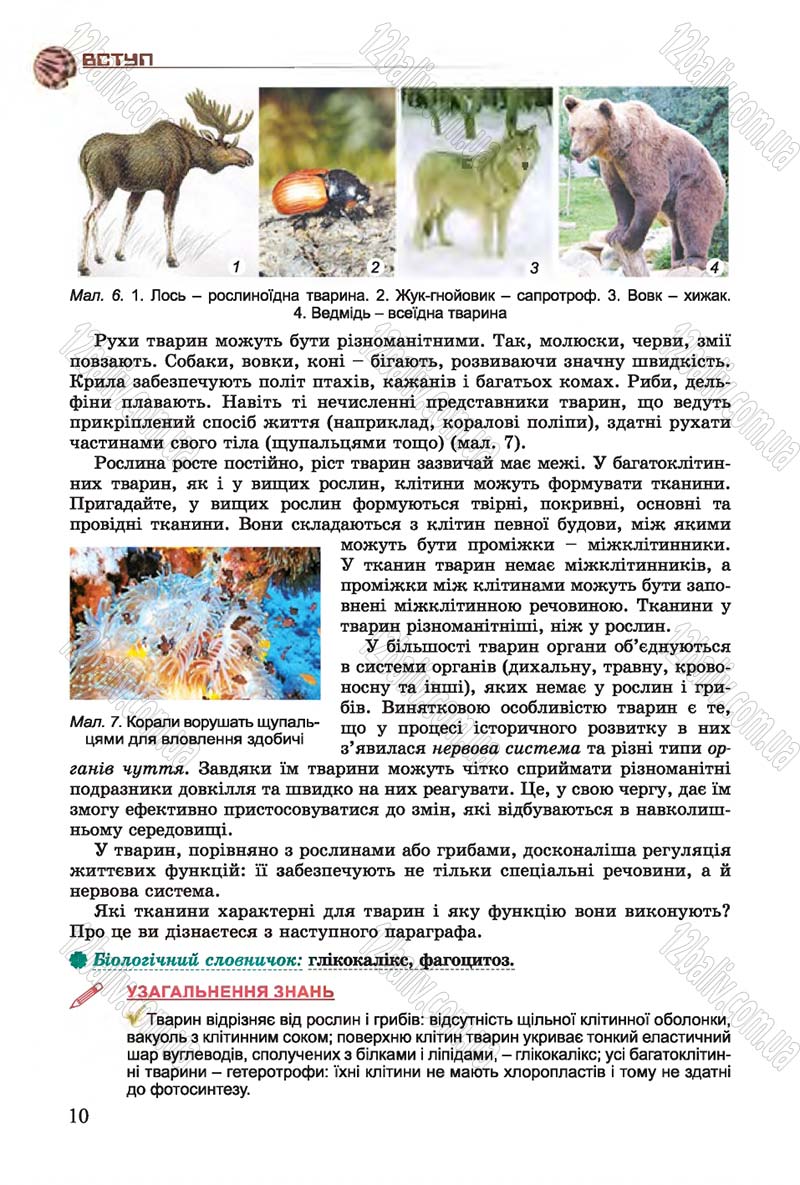 Сторінка 10 - Підручник Біологія 7 клас Остапченко 2015 - скачати онлайн