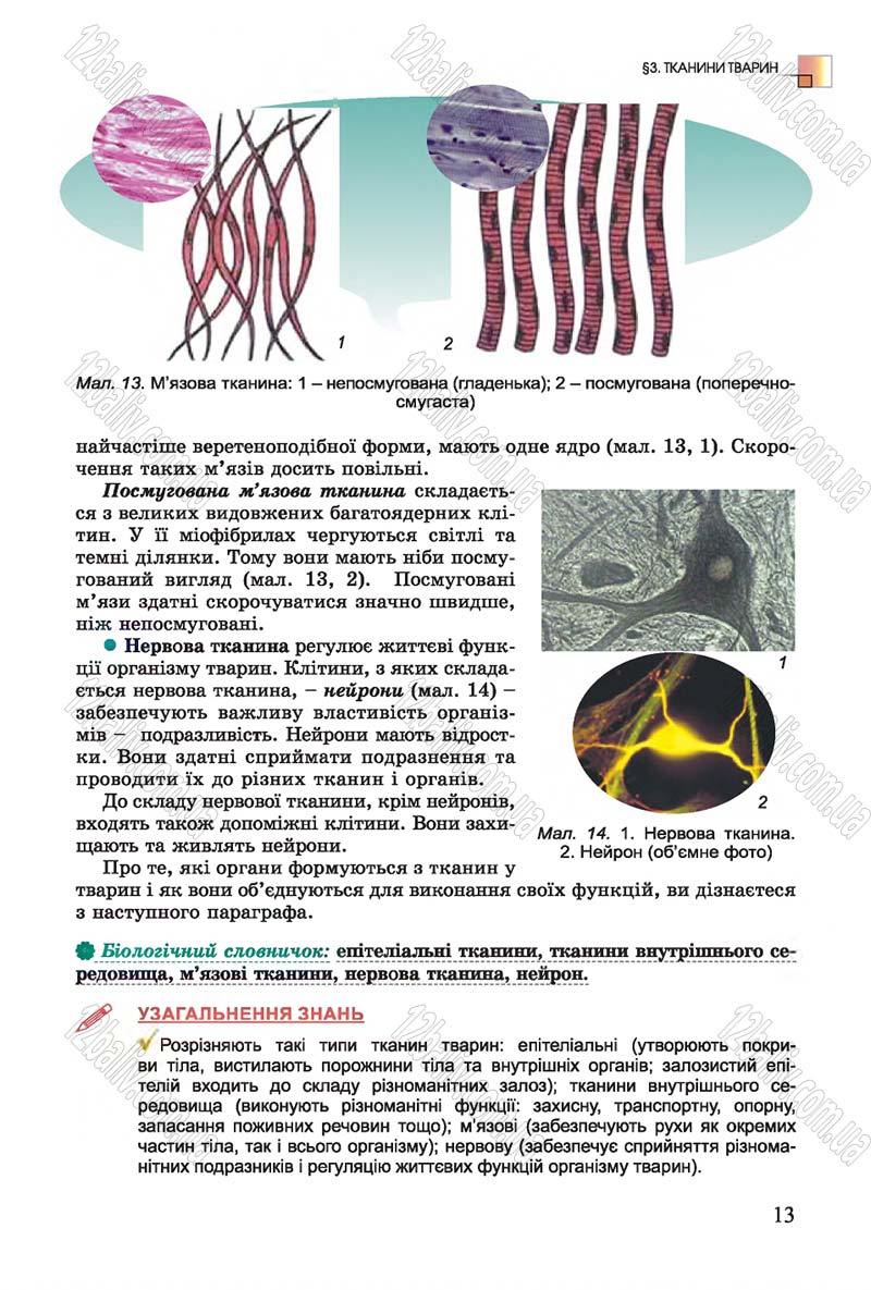Сторінка 13 - Підручник Біологія 7 клас Остапченко 2015 - скачати онлайн