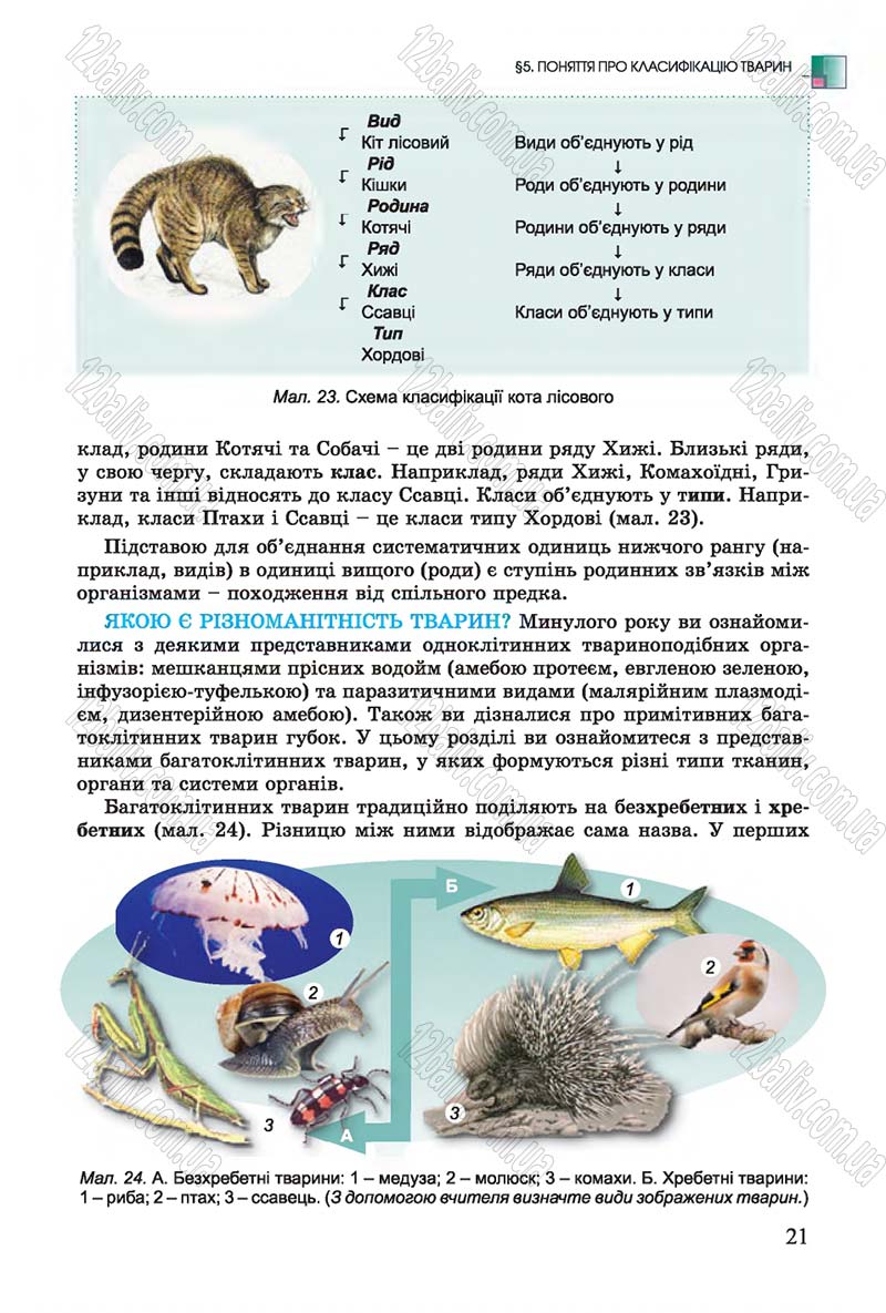 Сторінка 21 - Підручник Біологія 7 клас Остапченко 2015 - скачати онлайн