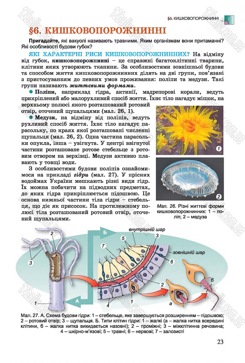 Сторінка 23 - Підручник Біологія 7 клас Остапченко 2015 - скачати онлайн