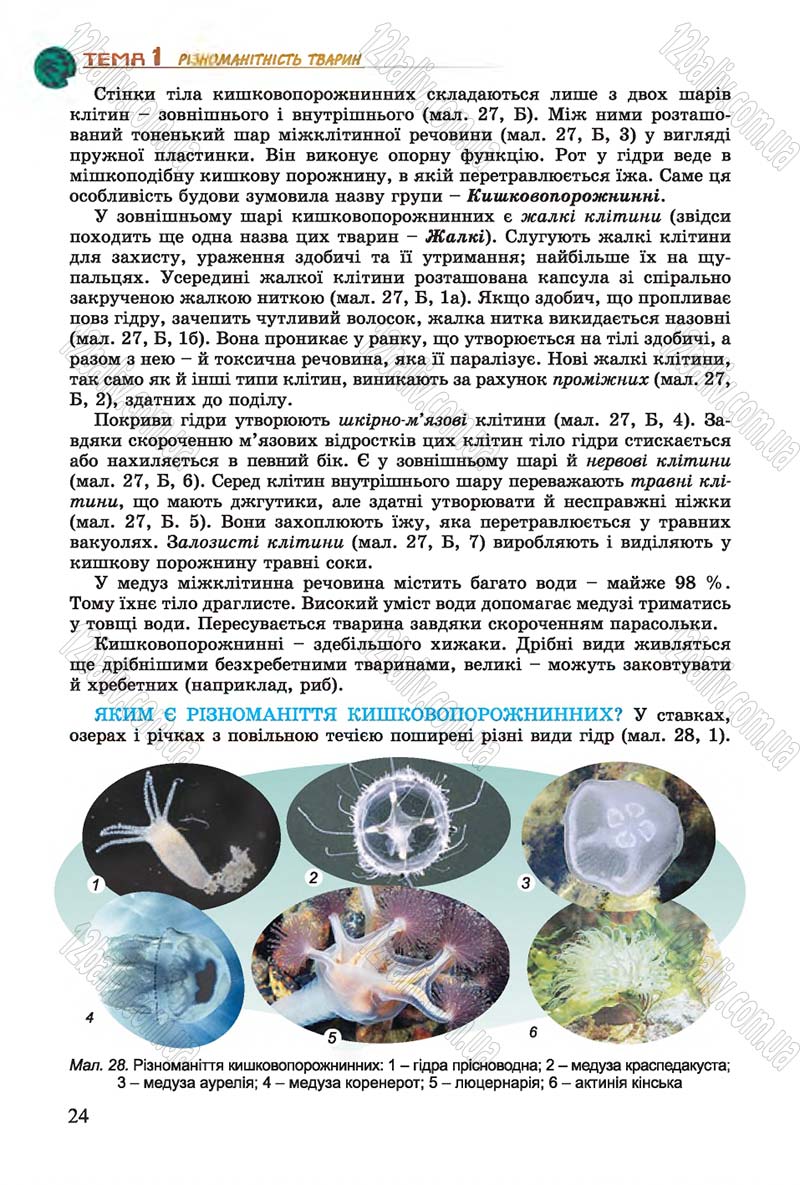 Сторінка 24 - Підручник Біологія 7 клас Остапченко 2015 - скачати онлайн