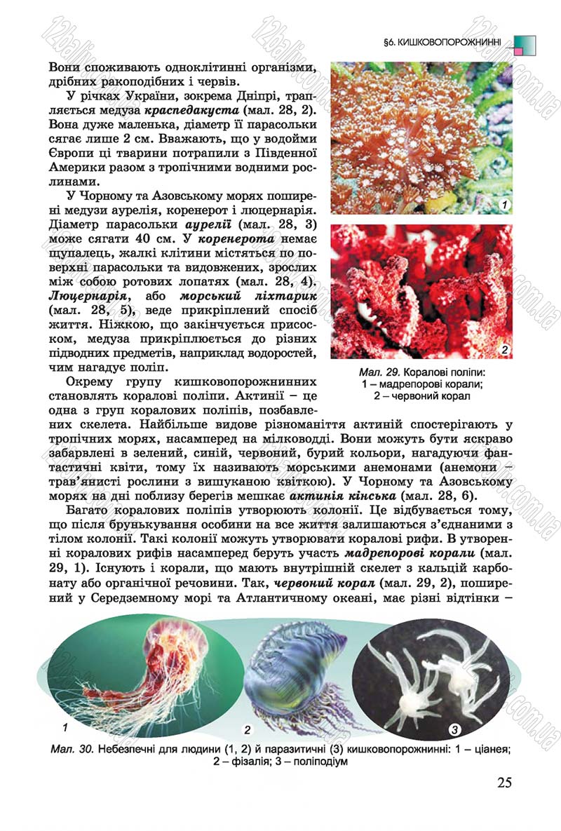 Сторінка 25 - Підручник Біологія 7 клас Остапченко 2015 - скачати онлайн
