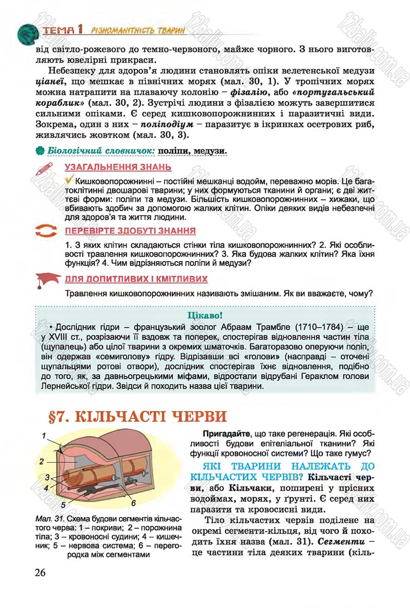 Сторінка 26 - Підручник Біологія 7 клас Остапченко 2015 - скачати онлайн