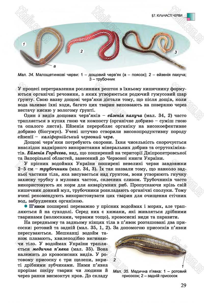 Сторінка 29 - Підручник Біологія 7 клас Остапченко 2015 - скачати онлайн