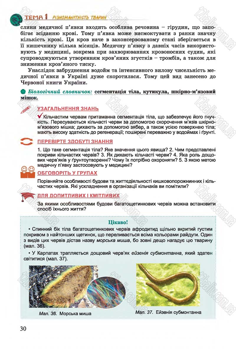 Сторінка 30 - Підручник Біологія 7 клас Остапченко 2015 - скачати онлайн