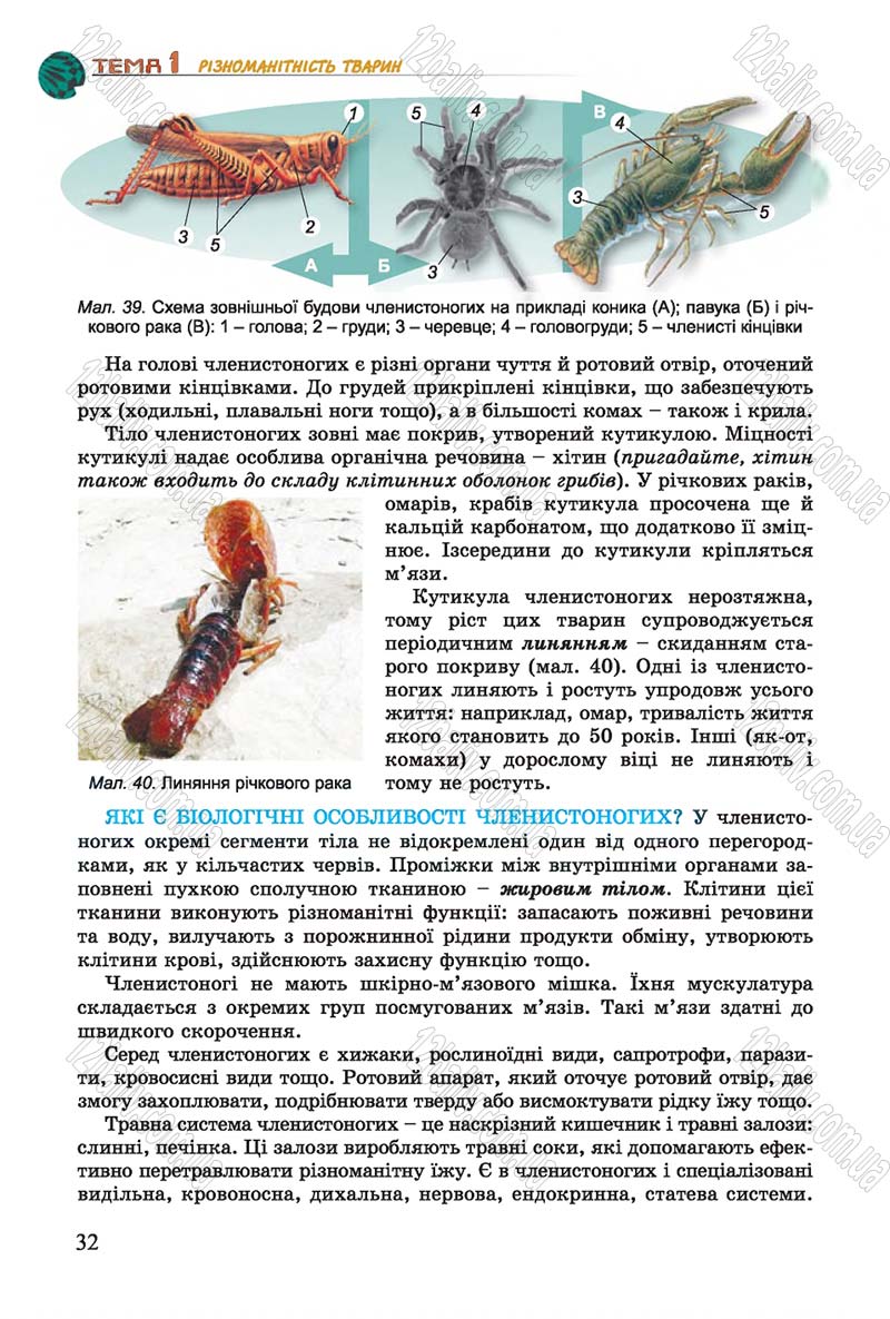 Сторінка 32 - Підручник Біологія 7 клас Остапченко 2015 - скачати онлайн