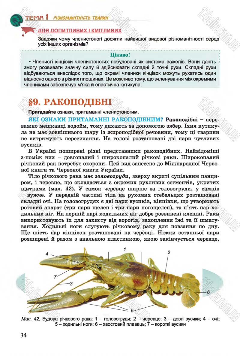 Сторінка 34 - Підручник Біологія 7 клас Остапченко 2015 - скачати онлайн