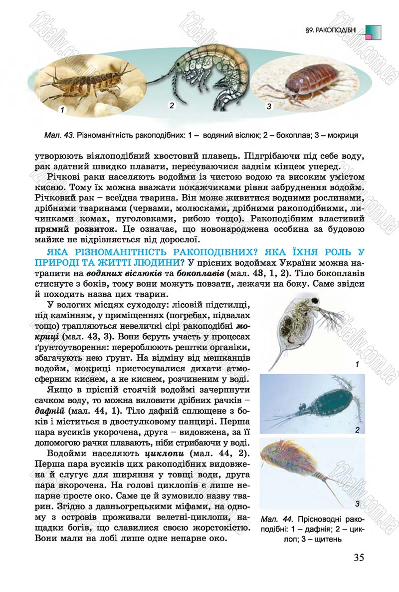 Сторінка 35 - Підручник Біологія 7 клас Остапченко 2015 - скачати онлайн