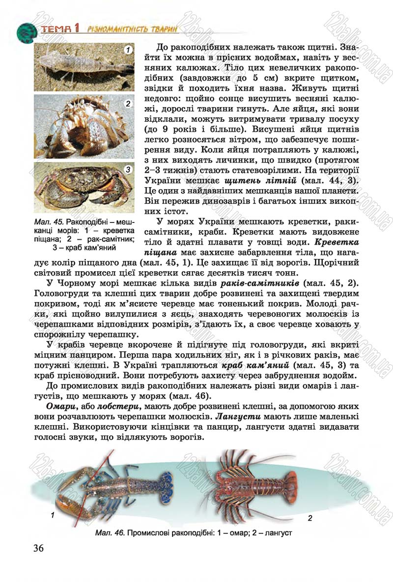 Сторінка 36 - Підручник Біологія 7 клас Остапченко 2015 - скачати онлайн