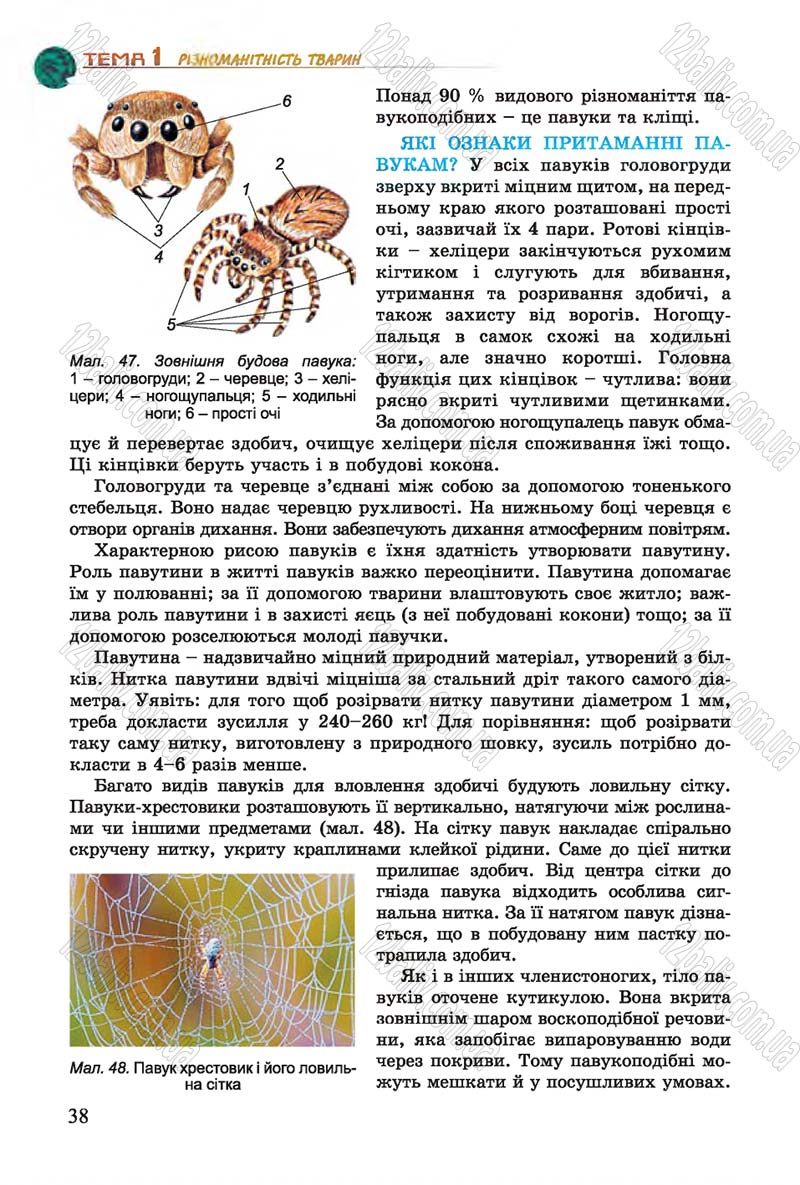 Сторінка 38 - Підручник Біологія 7 клас Остапченко 2015 - скачати онлайн