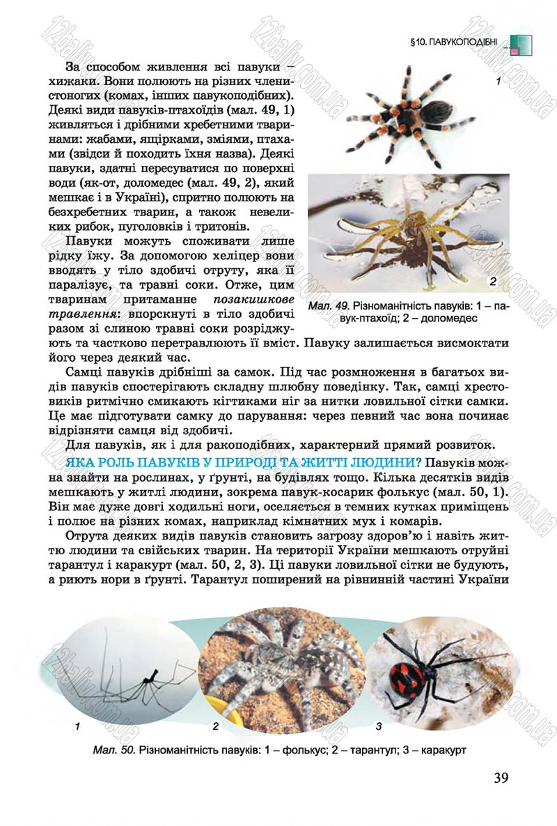 Сторінка 39 - Підручник Біологія 7 клас Остапченко 2015 - скачати онлайн