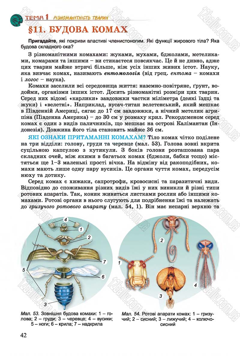 Сторінка 42 - Підручник Біологія 7 клас Остапченко 2015 - скачати онлайн
