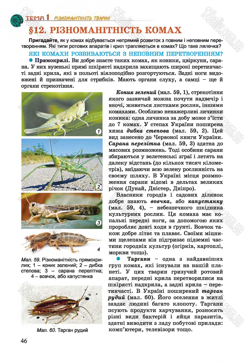 Сторінка 46 - Підручник Біологія 7 клас Остапченко 2015 - скачати онлайн