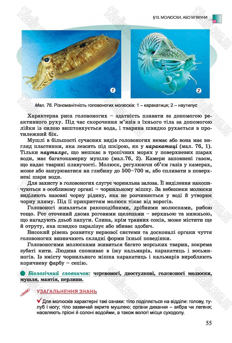 Сторінка 55 - Підручник Біологія 7 клас Остапченко 2015 - скачати онлайн