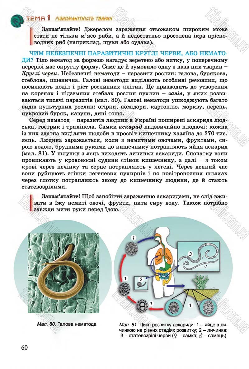 Сторінка 60 - Підручник Біологія 7 клас Остапченко 2015 - скачати онлайн