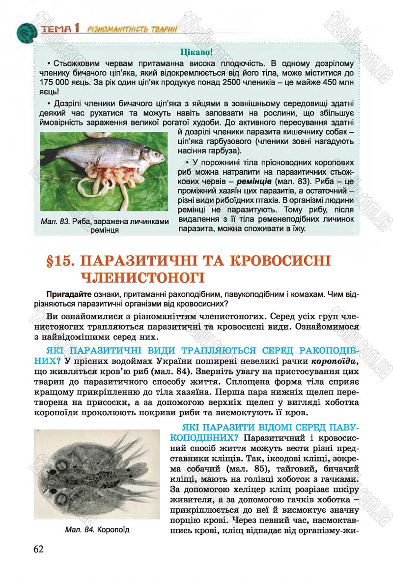 Сторінка 62 - Підручник Біологія 7 клас Остапченко 2015 - скачати онлайн