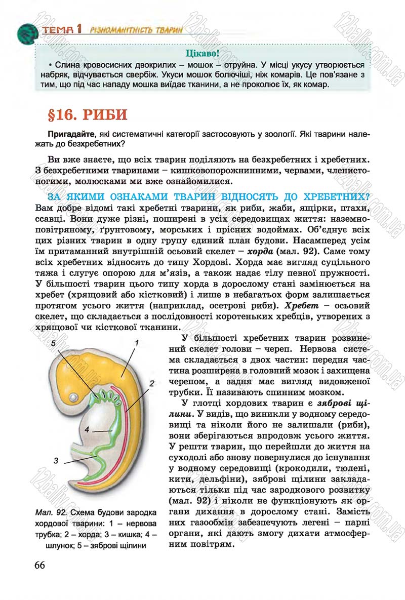 Сторінка 66 - Підручник Біологія 7 клас Остапченко 2015 - скачати онлайн