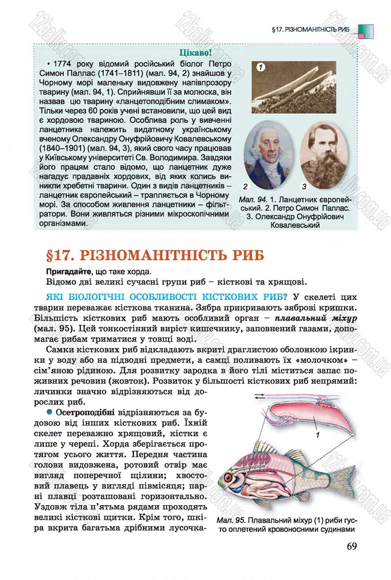 Сторінка 69 - Підручник Біологія 7 клас Остапченко 2015 - скачати онлайн
