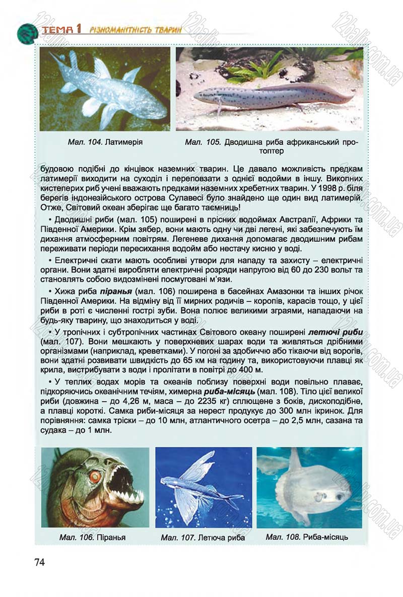 Сторінка 74 - Підручник Біологія 7 клас Остапченко 2015 - скачати онлайн