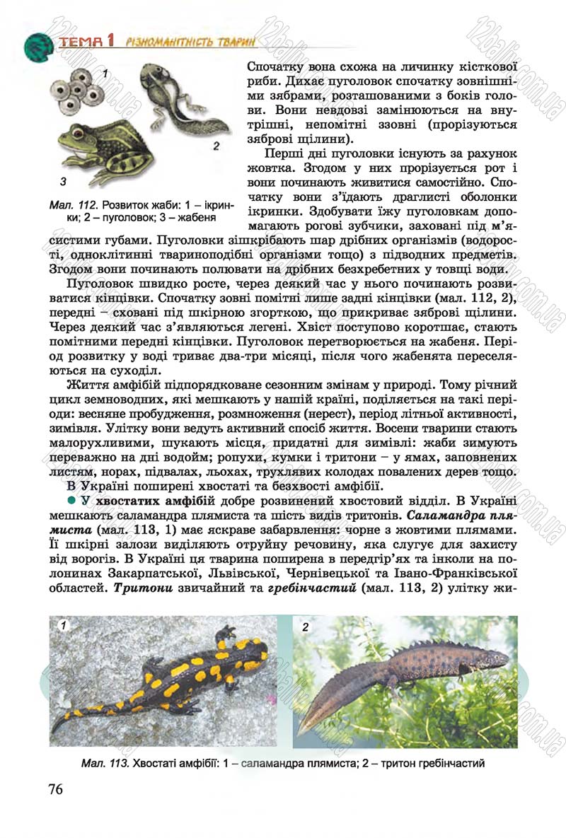 Сторінка 76 - Підручник Біологія 7 клас Остапченко 2015 - скачати онлайн