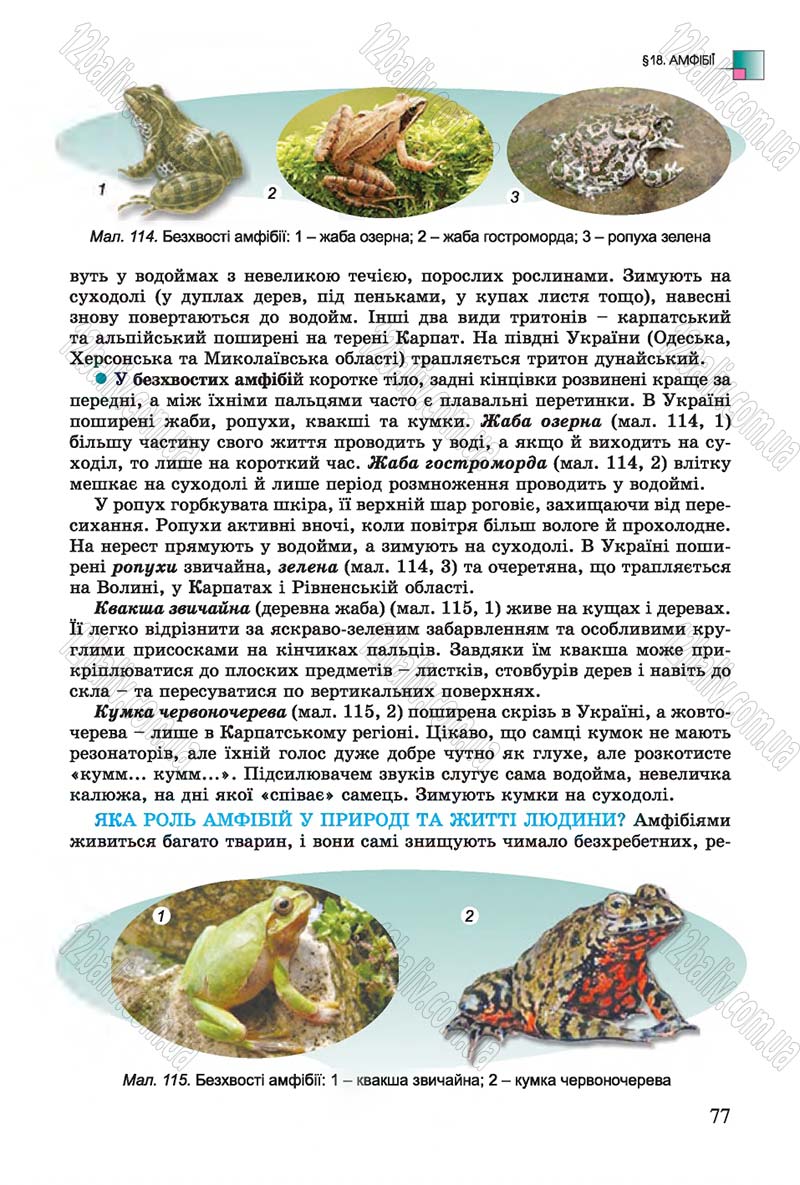 Сторінка 77 - Підручник Біологія 7 клас Остапченко 2015 - скачати онлайн