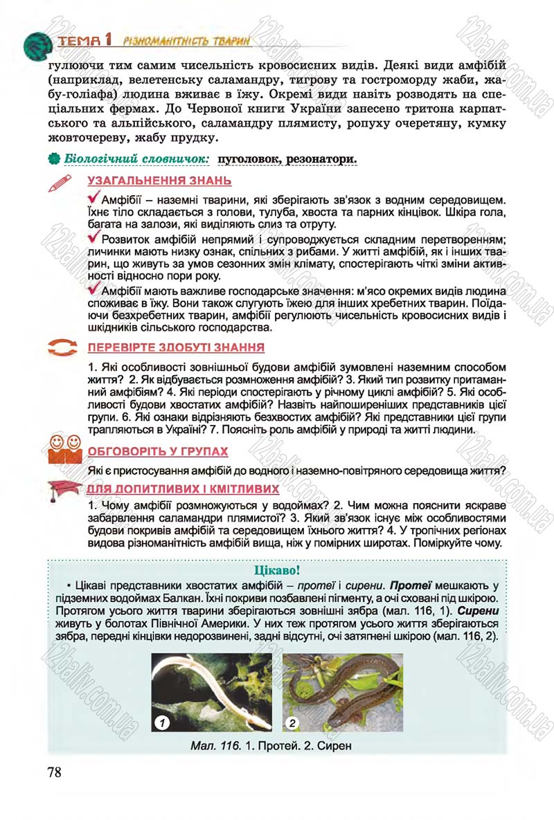 Сторінка 78 - Підручник Біологія 7 клас Остапченко 2015 - скачати онлайн