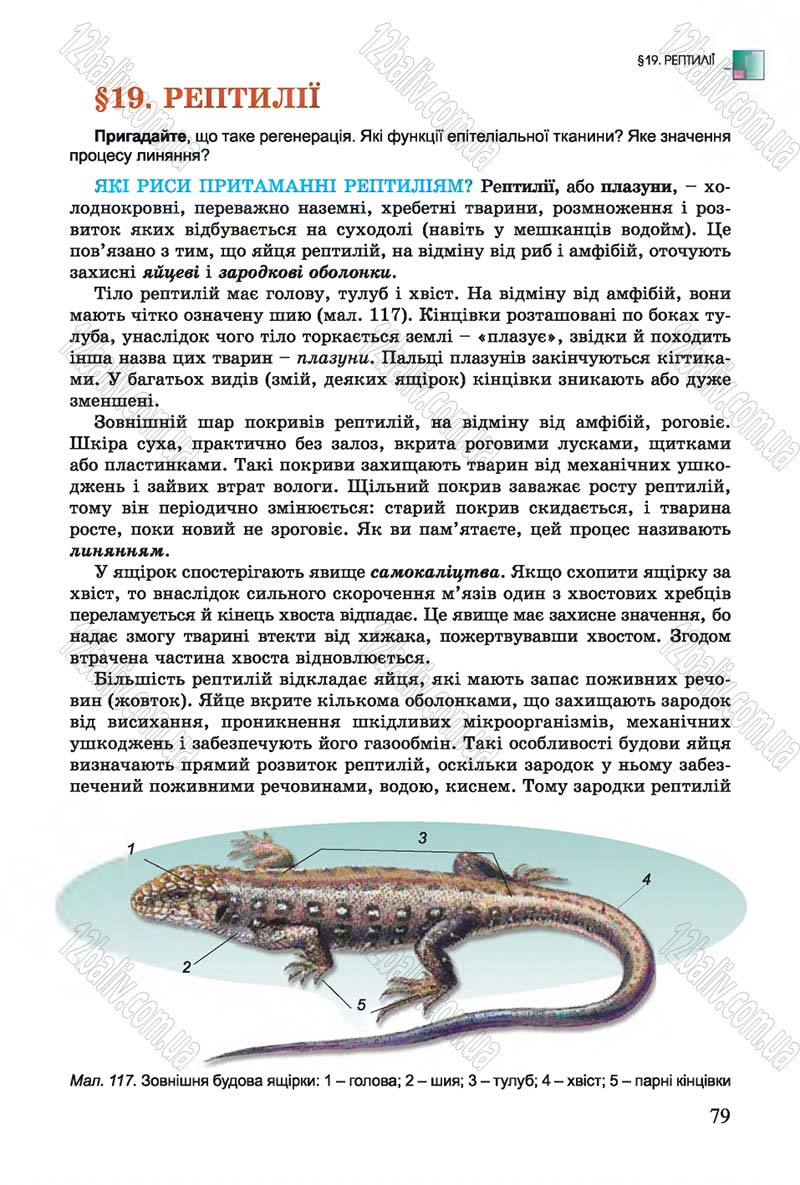 Сторінка 79 - Підручник Біологія 7 клас Остапченко 2015 - скачати онлайн