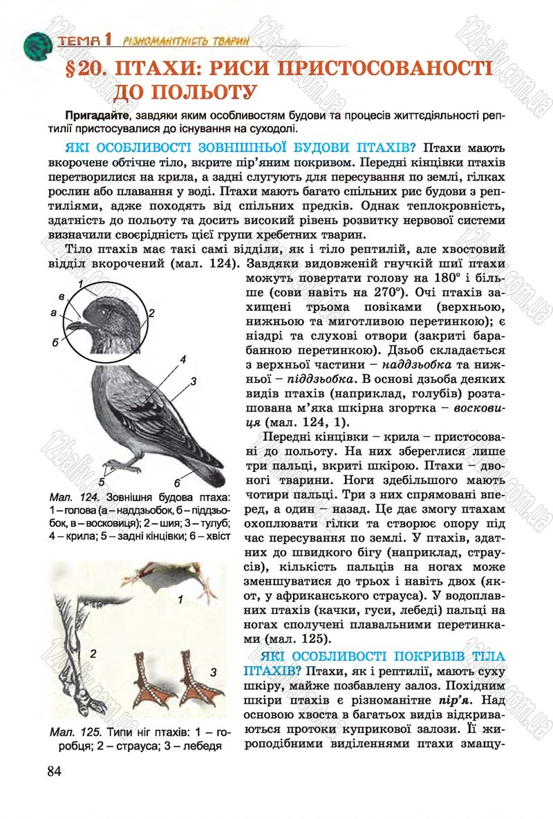 Сторінка 84 - Підручник Біологія 7 клас Остапченко 2015 - скачати онлайн