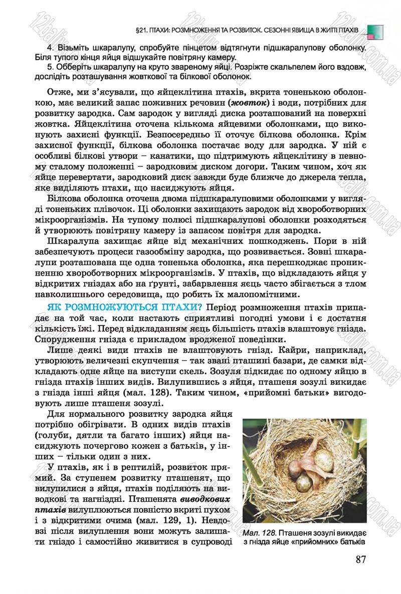 Сторінка 87 - Підручник Біологія 7 клас Остапченко 2015 - скачати онлайн