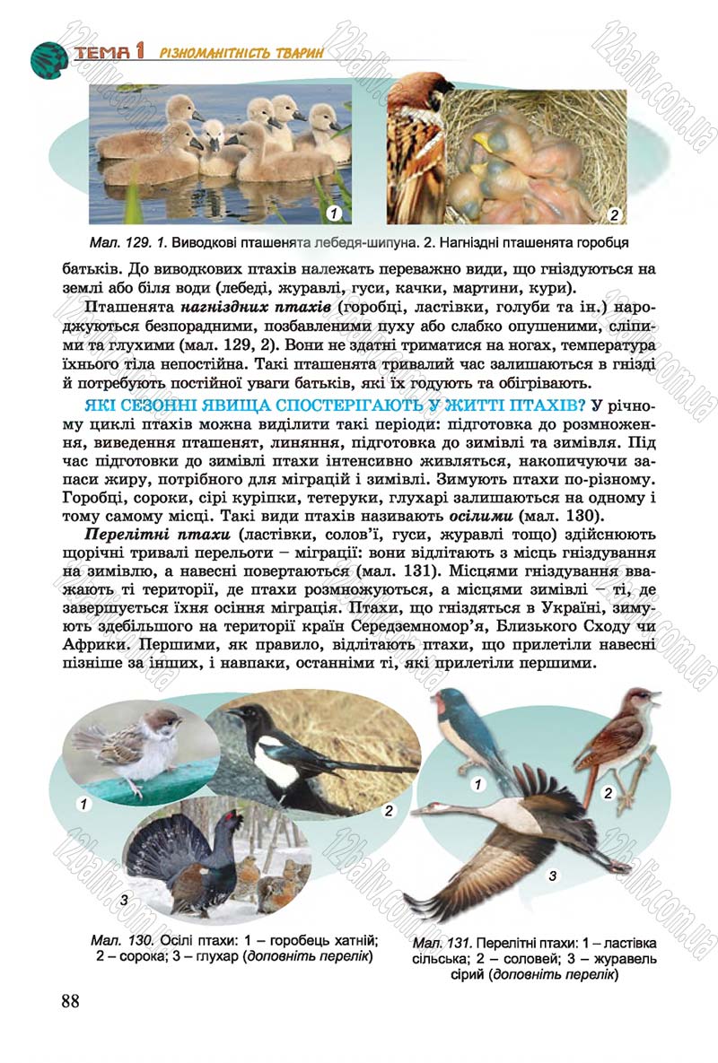 Сторінка 88 - Підручник Біологія 7 клас Остапченко 2015 - скачати онлайн