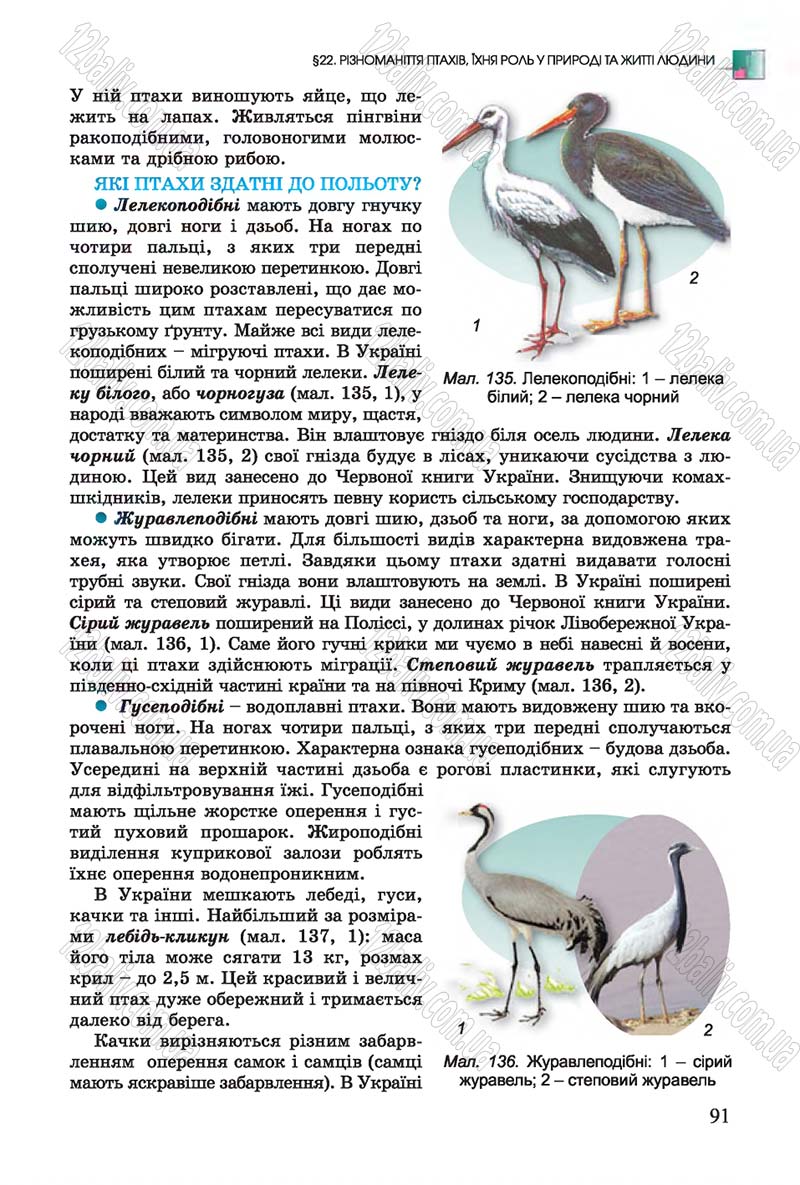 Сторінка 91 - Підручник Біологія 7 клас Остапченко 2015 - скачати онлайн