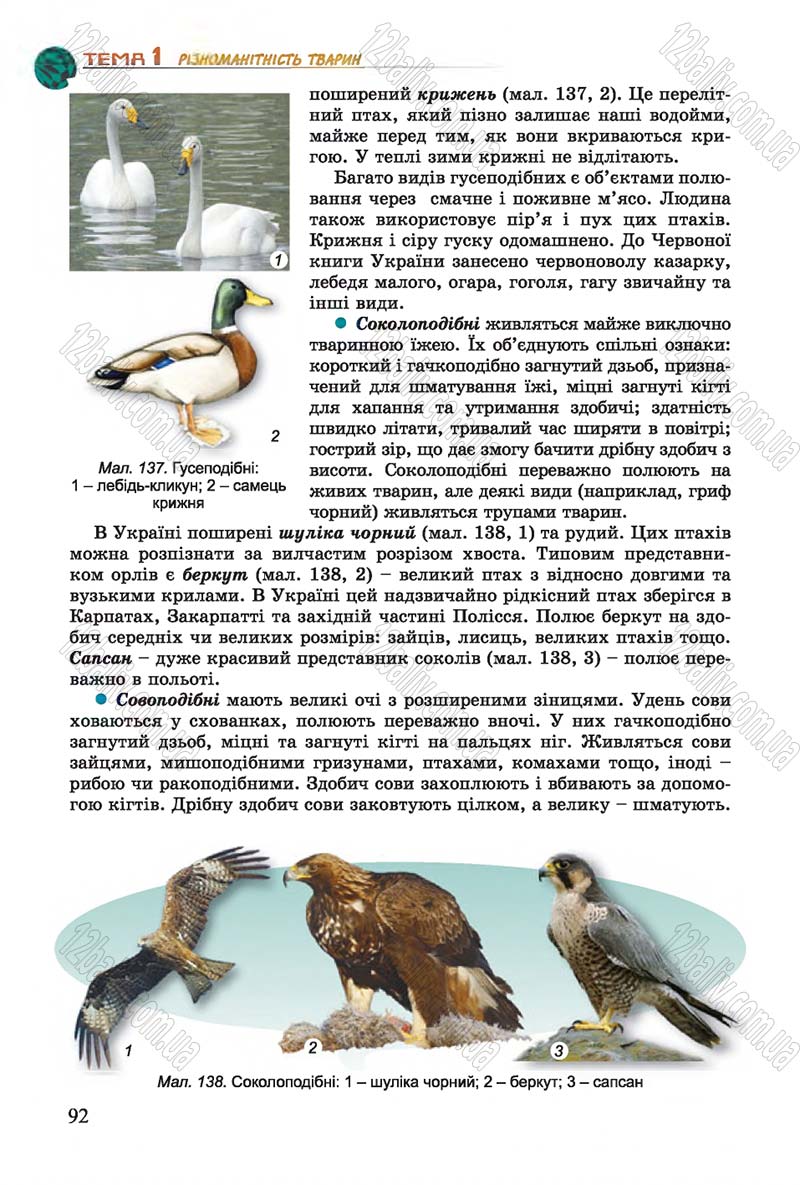 Сторінка 92 - Підручник Біологія 7 клас Остапченко 2015 - скачати онлайн