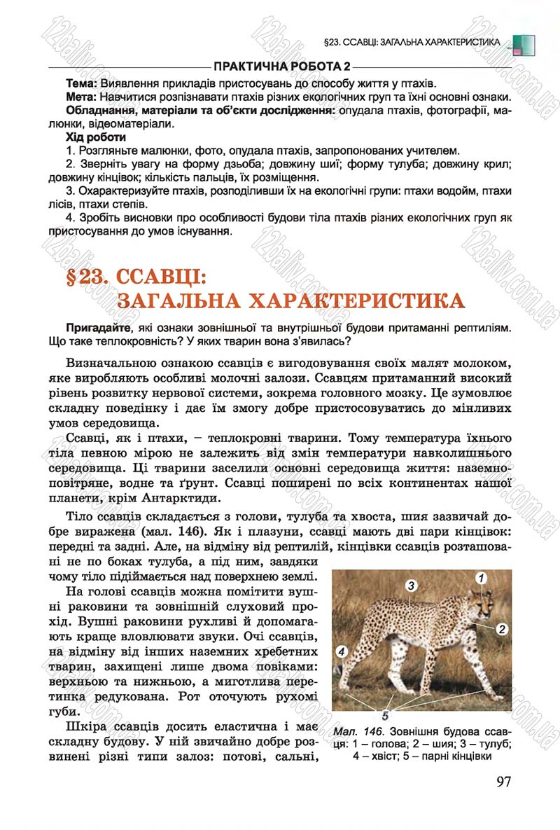 Сторінка 97 - Підручник Біологія 7 клас Остапченко 2015 - скачати онлайн
