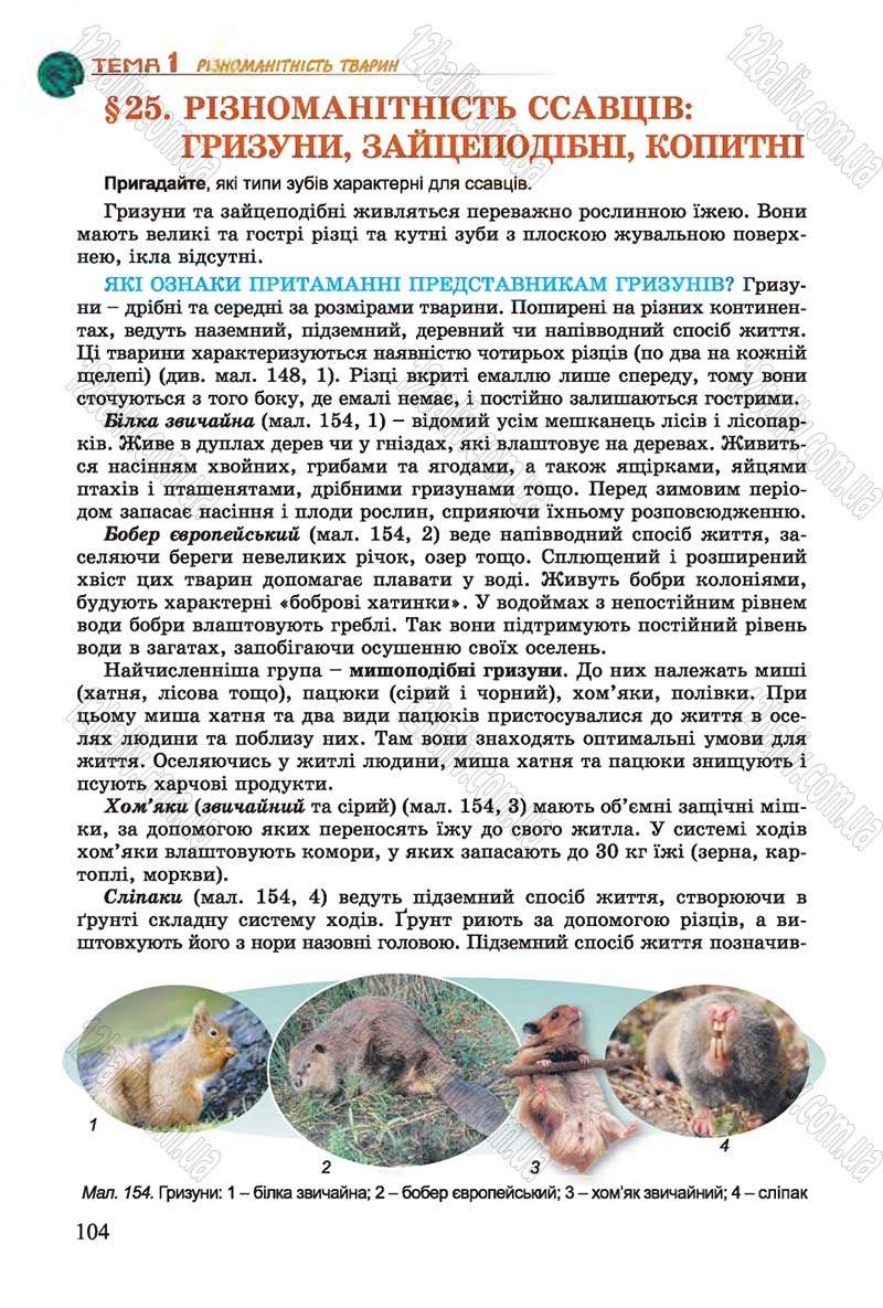 Сторінка 104 - Підручник Біологія 7 клас Остапченко 2015 - скачати онлайн