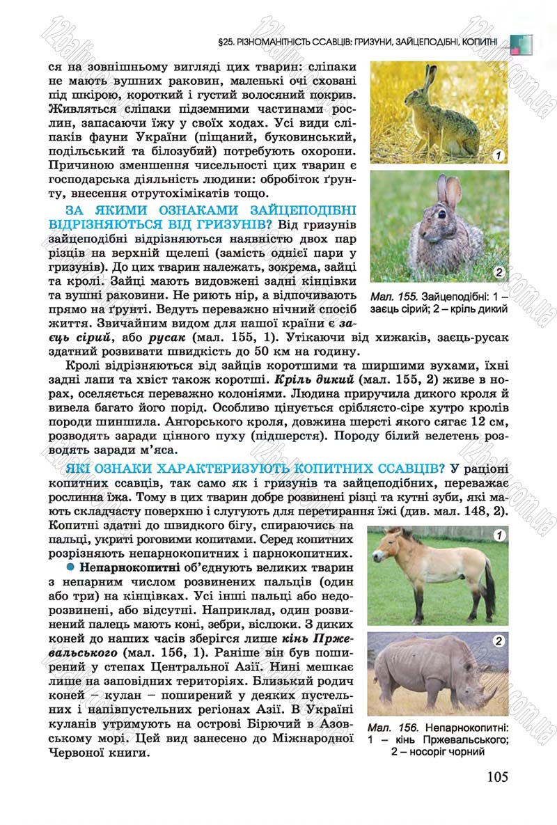 Сторінка 105 - Підручник Біологія 7 клас Остапченко 2015 - скачати онлайн