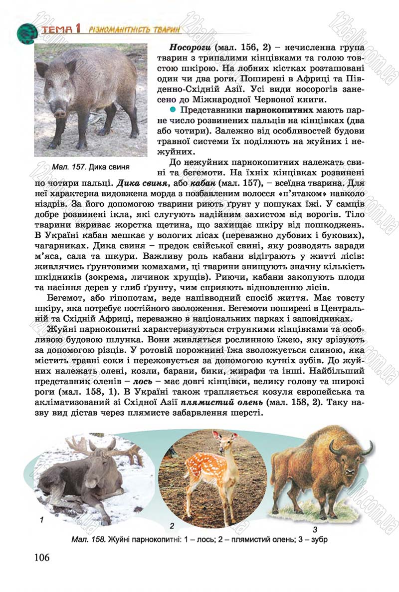 Сторінка 106 - Підручник Біологія 7 клас Остапченко 2015 - скачати онлайн