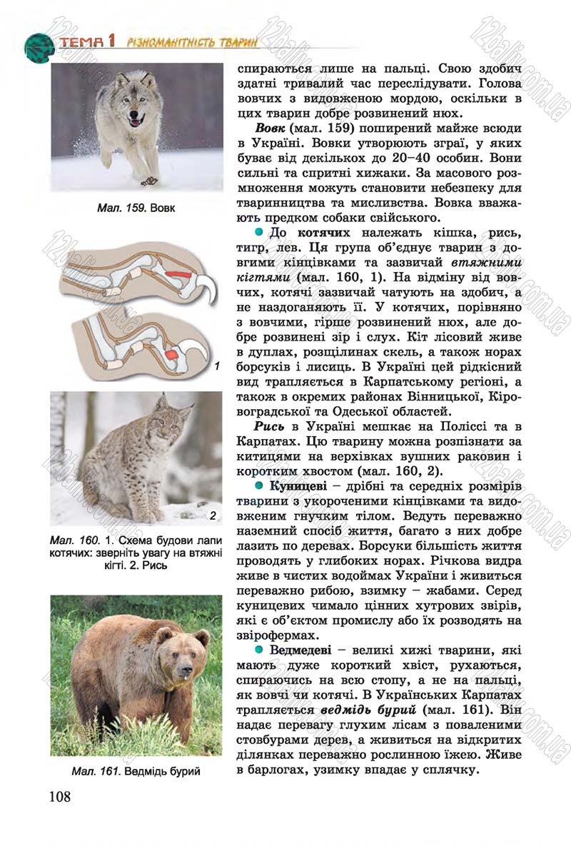 Сторінка 108 - Підручник Біологія 7 клас Остапченко 2015 - скачати онлайн