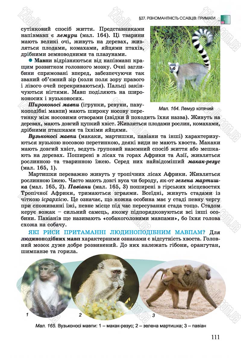 Сторінка 111 - Підручник Біологія 7 клас Остапченко 2015 - скачати онлайн