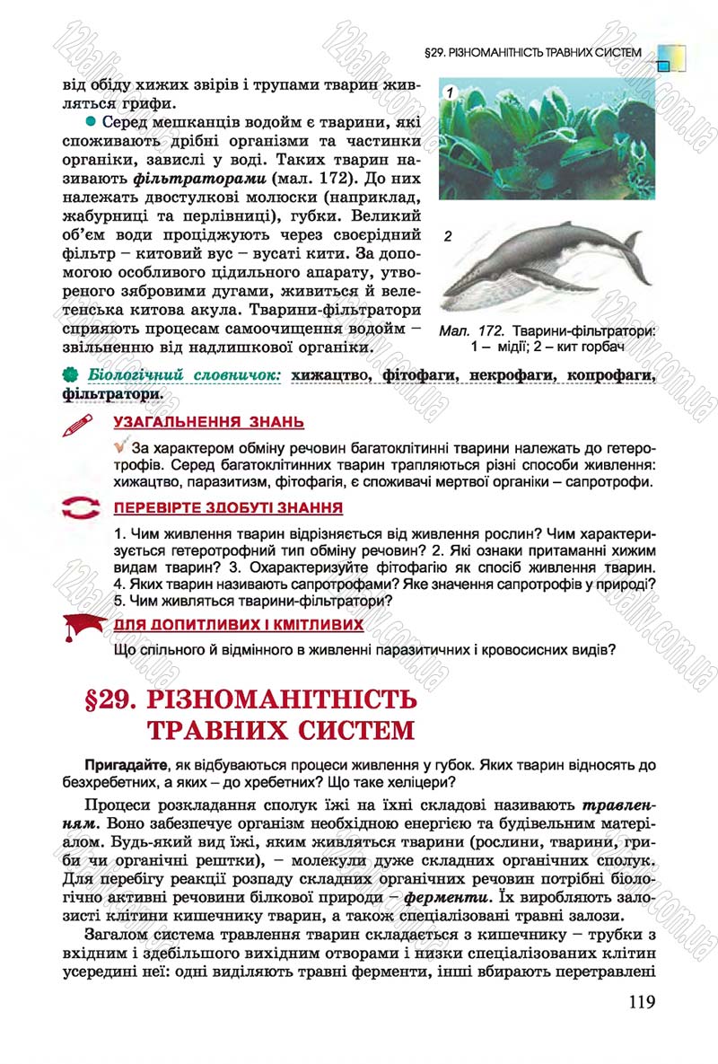 Сторінка 119 - Підручник Біологія 7 клас Остапченко 2015 - скачати онлайн