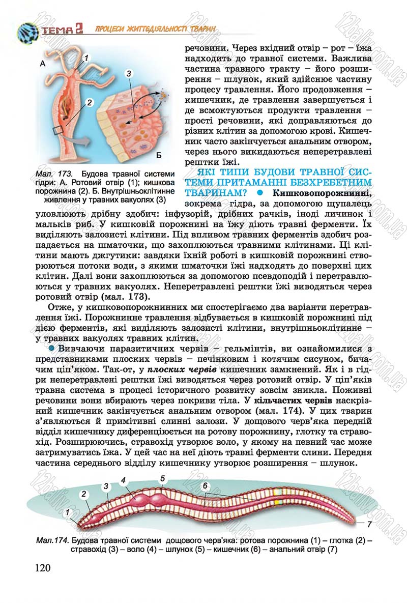 Сторінка 120 - Підручник Біологія 7 клас Остапченко 2015 - скачати онлайн