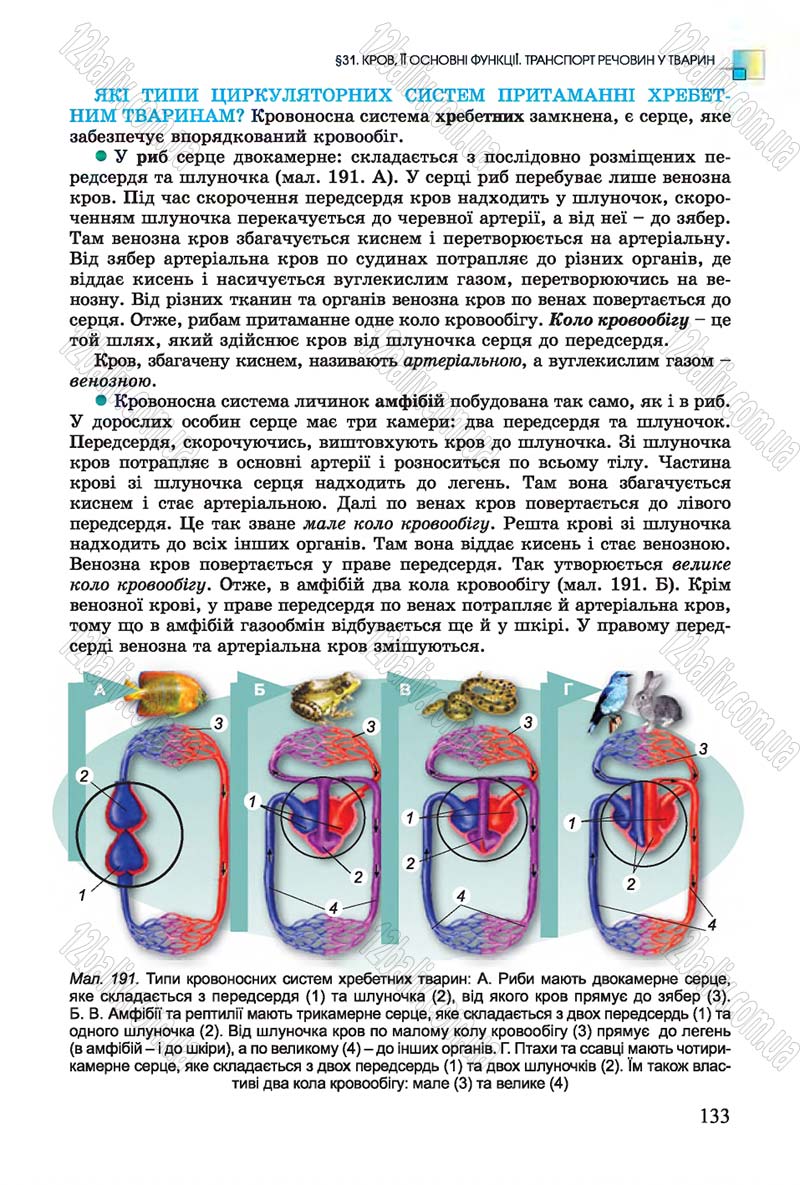 Сторінка 133 - Підручник Біологія 7 клас Остапченко 2015 - скачати онлайн