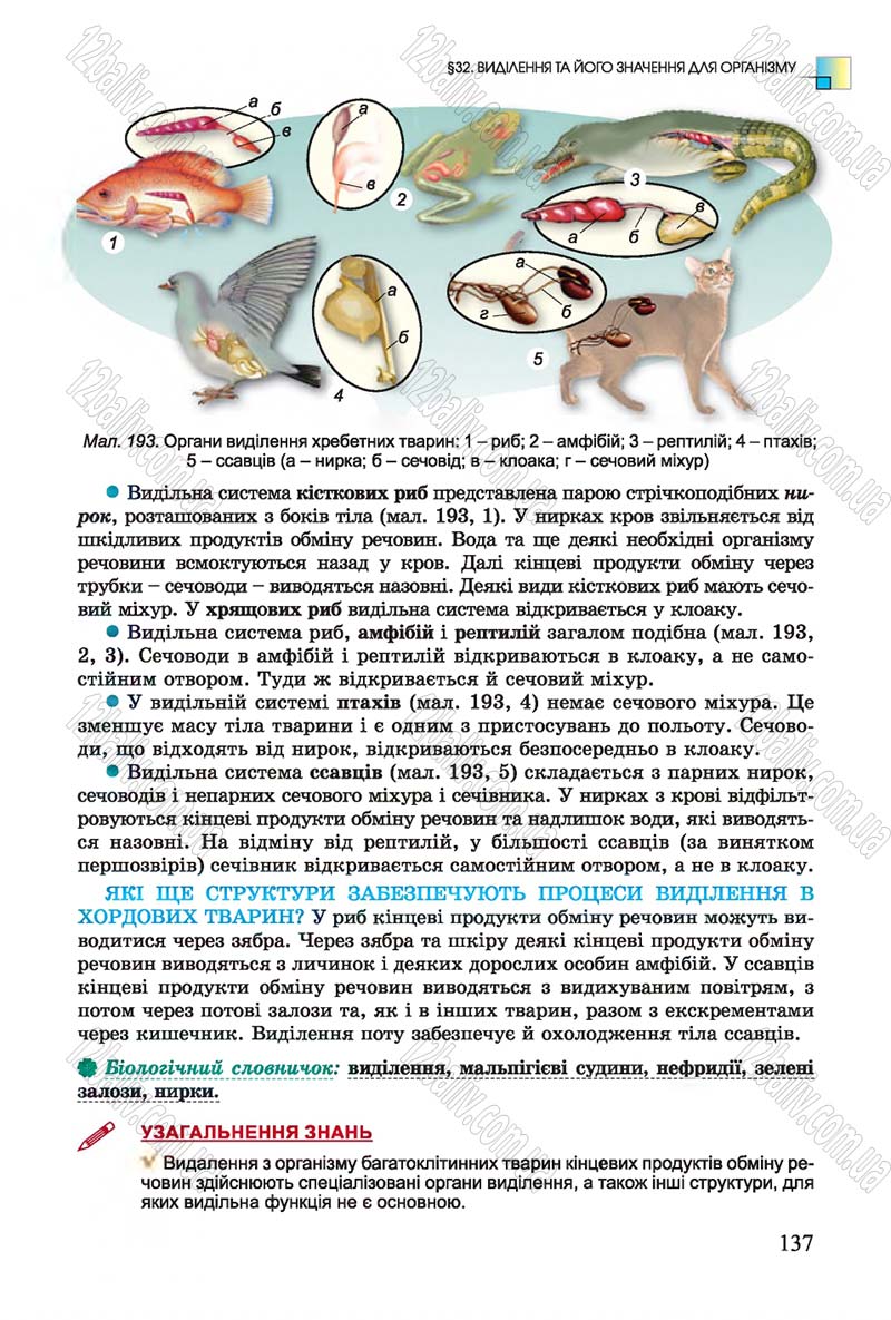 Сторінка 137 - Підручник Біологія 7 клас Остапченко 2015 - скачати онлайн
